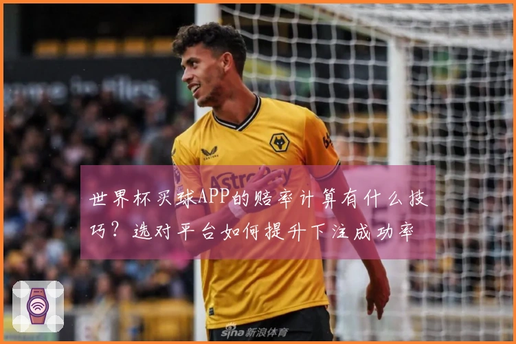 世界杯买球APP的赔率计算有什么技巧？选对平台如何提升下注成功率