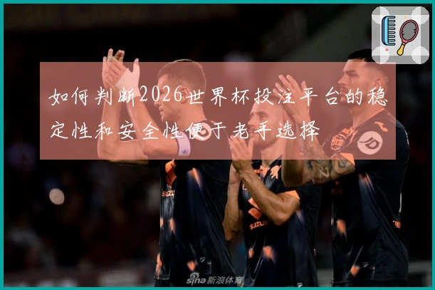 如何判断2026世界杯投注平台的稳定性和安全性便于老手选择
