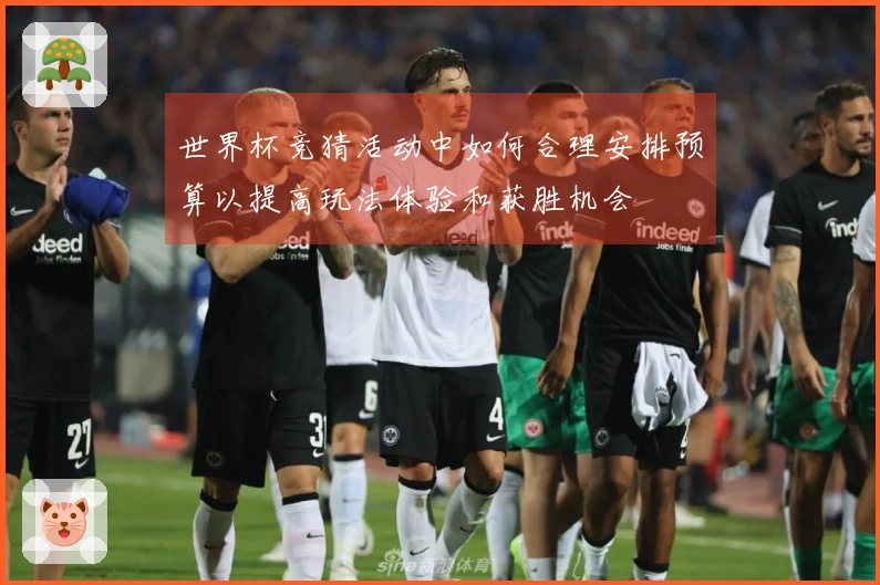 世界杯竞猜活动中如何合理安排预算以提高玩法体验和获胜机会