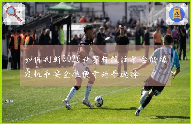 如何判断2026世界杯投注平台的稳定性和安全性便于老手选择